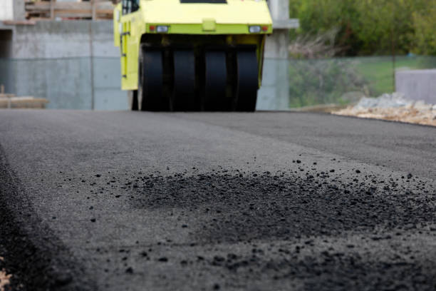 Best Local Driveway Pavers  in Remsen, IA